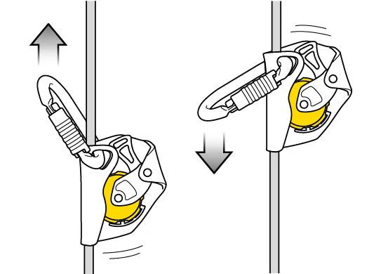 Petzl - ASAP - Image 5